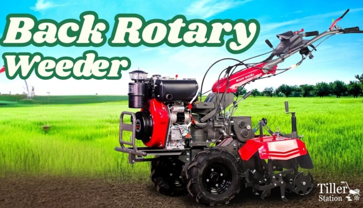 Back Rotary Weeder