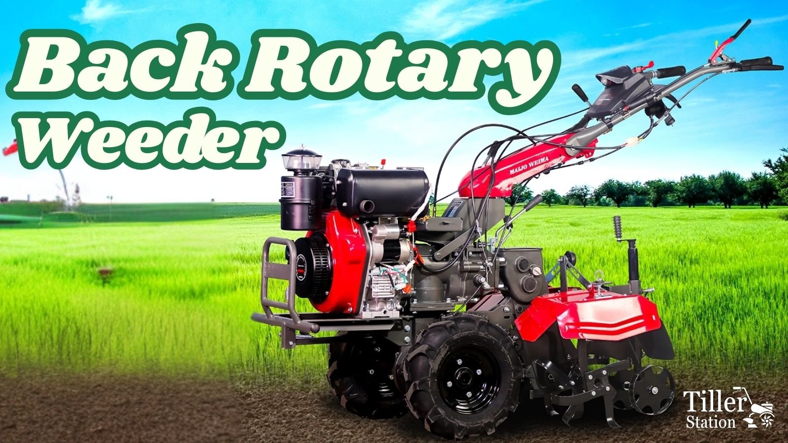Back Rotary Weeder Back Rotary Weeder