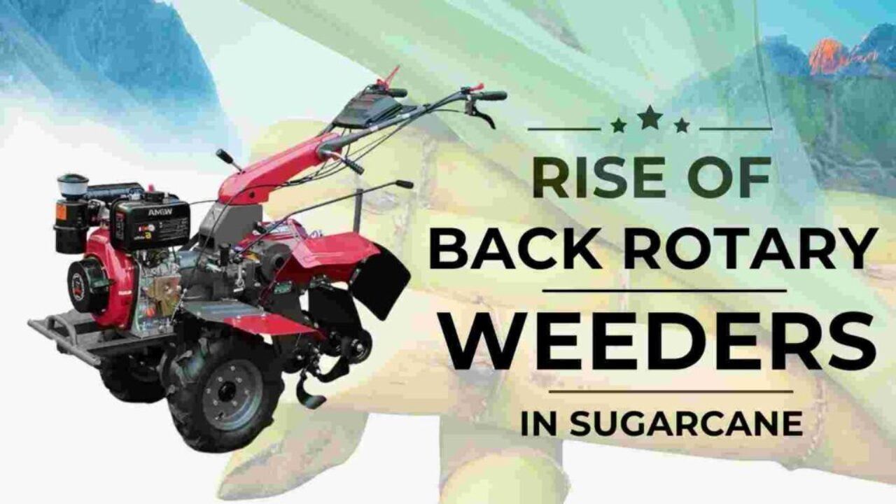 Power Weeders Adoption in Sugarcane Power Weeder Adoption in Sugarcane in Uttar Pardesh