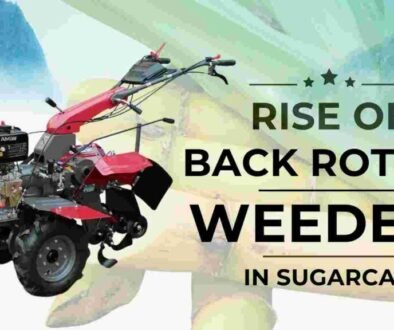 Power Weeders Adoption in Sugarcane